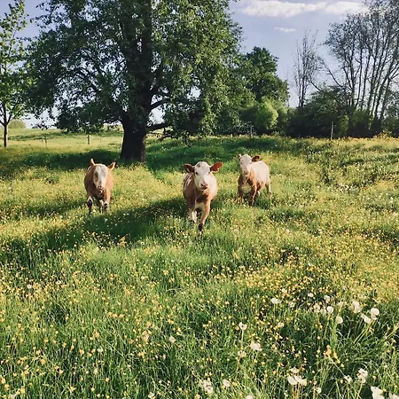 דירה Moarhof Hackling - Anian