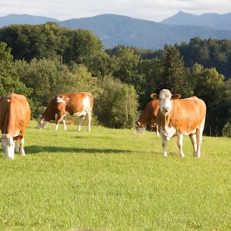 דירה Moarhof Hackling - Anian אירשנברג
